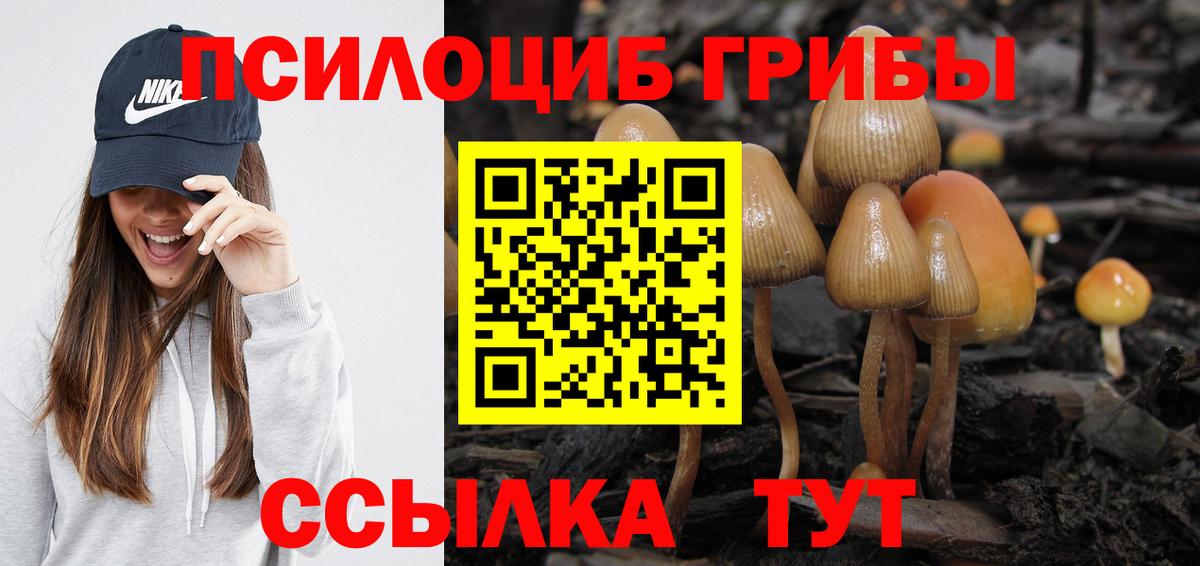 Галлюциногенные грибы мицелий Прокопьевск